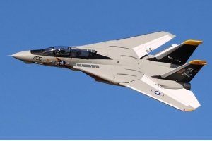 Freewing Eurofighter Typhoon 90mm EDF Jet- 8S PNP Version