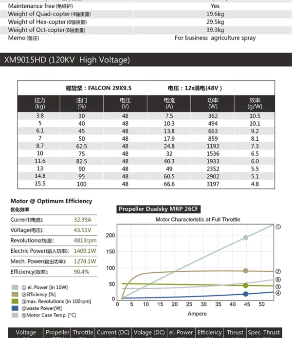 DUALSKY XM9015HD-10, high voltage Motor