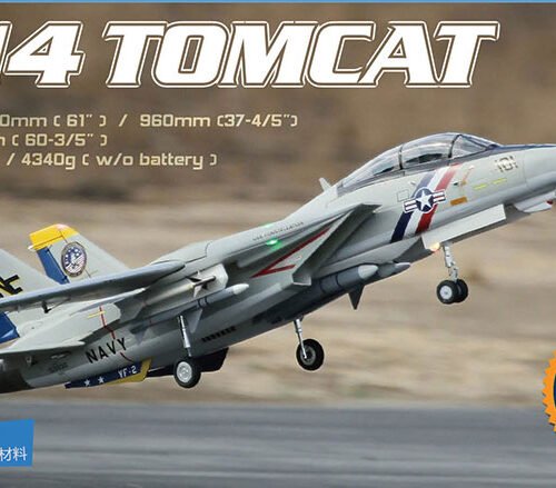 Freewing F-14 Tomcat Twin 80mm EDF Jet PNP Version