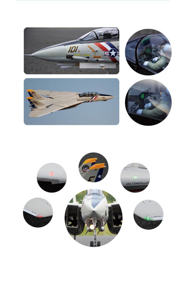 Freewing F-14 Tomcat Twin 80mm EDF Jet PNP Version