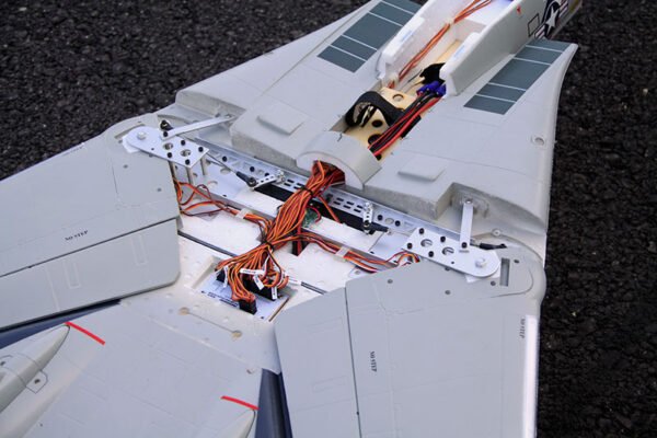 Freewing F-14 Tomcat Twin 80mm EDF Jet PNP Version